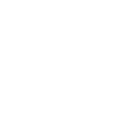 Shinning Rock Software logo